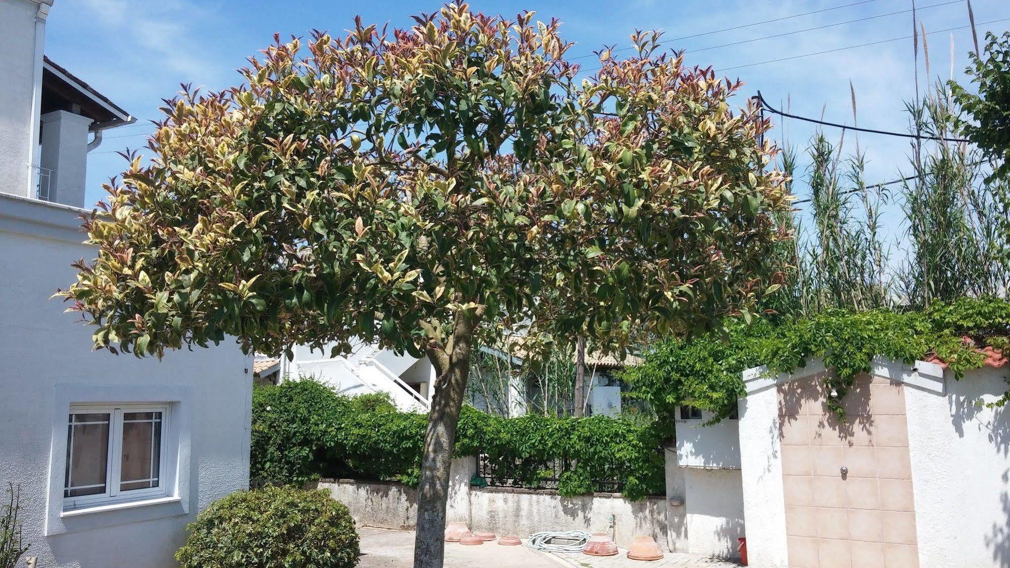 Corfu Anastasia Kontokali Bagian luar foto